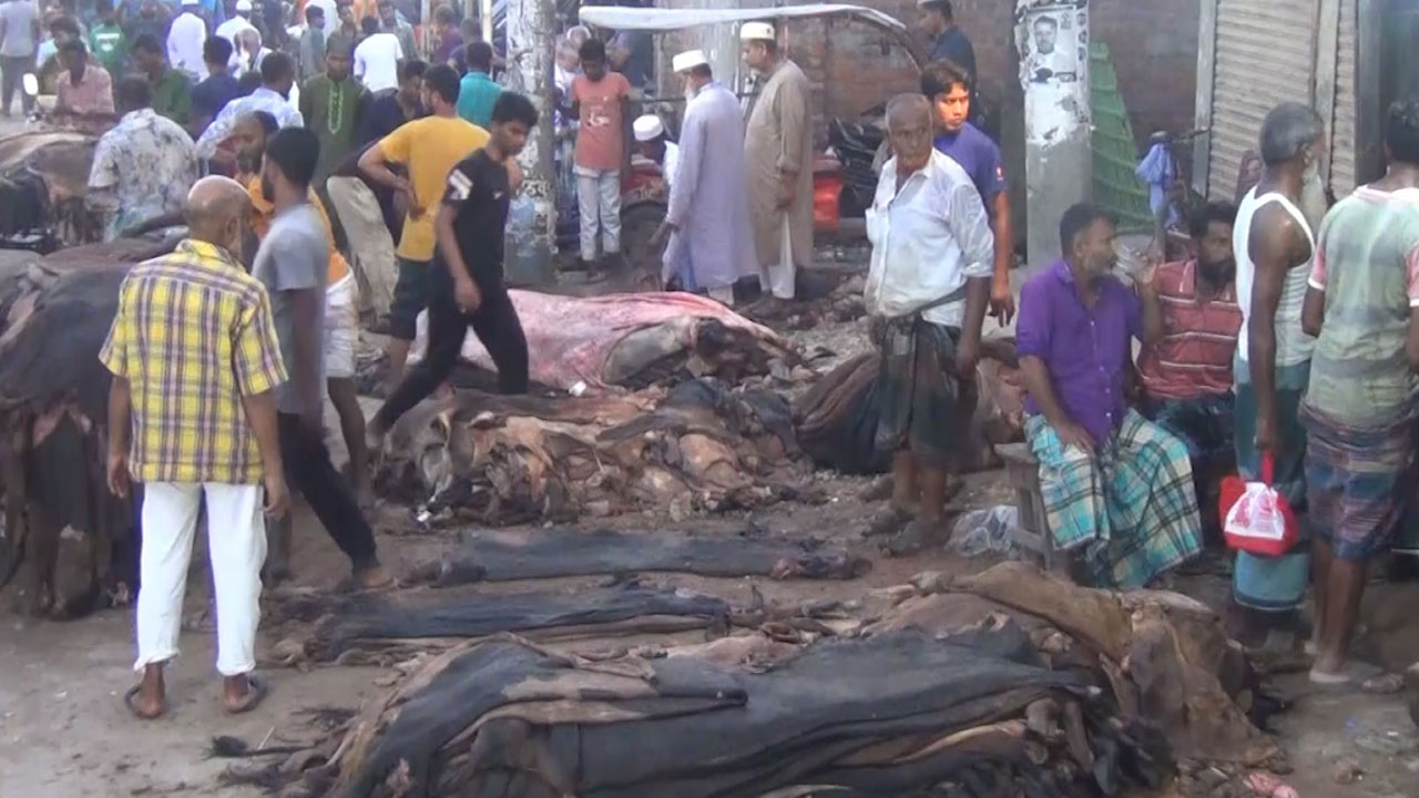 চামড়া সংরক্ষণ চলছে