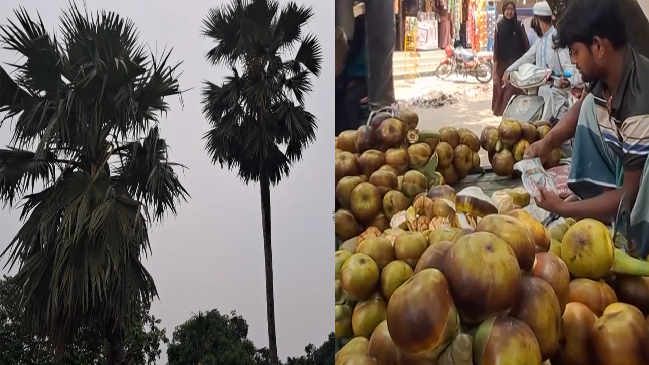 কিশোরগঞ্জ শহর জুড়ে তালের সম্ভার