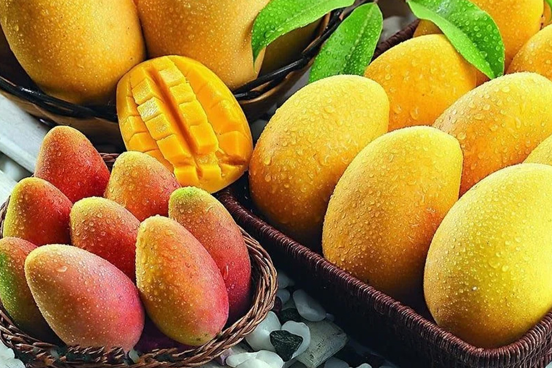 ছবিঃ সংগৃহীত