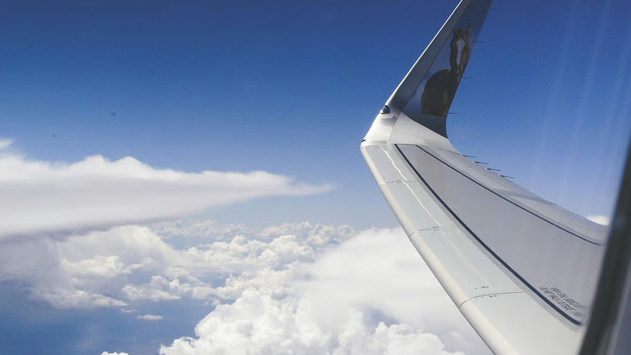 ছবিঃ সংগৃহীত