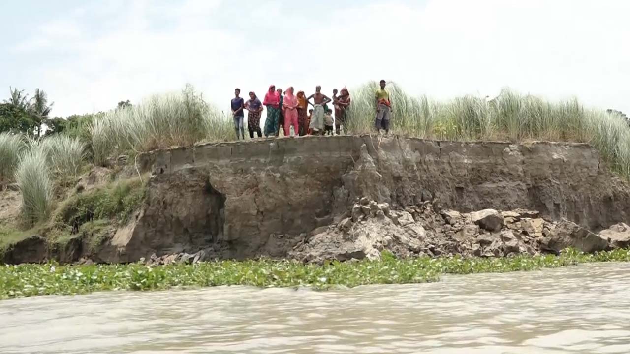 কুষ্টিয়ায় পদ্মায় তীব্র ভাঙন