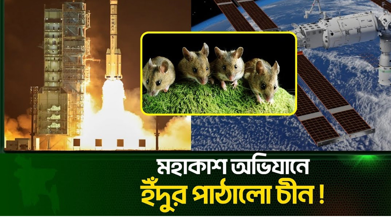যে কারণে মহাকাশে ইঁদুর পাঠাল চীন