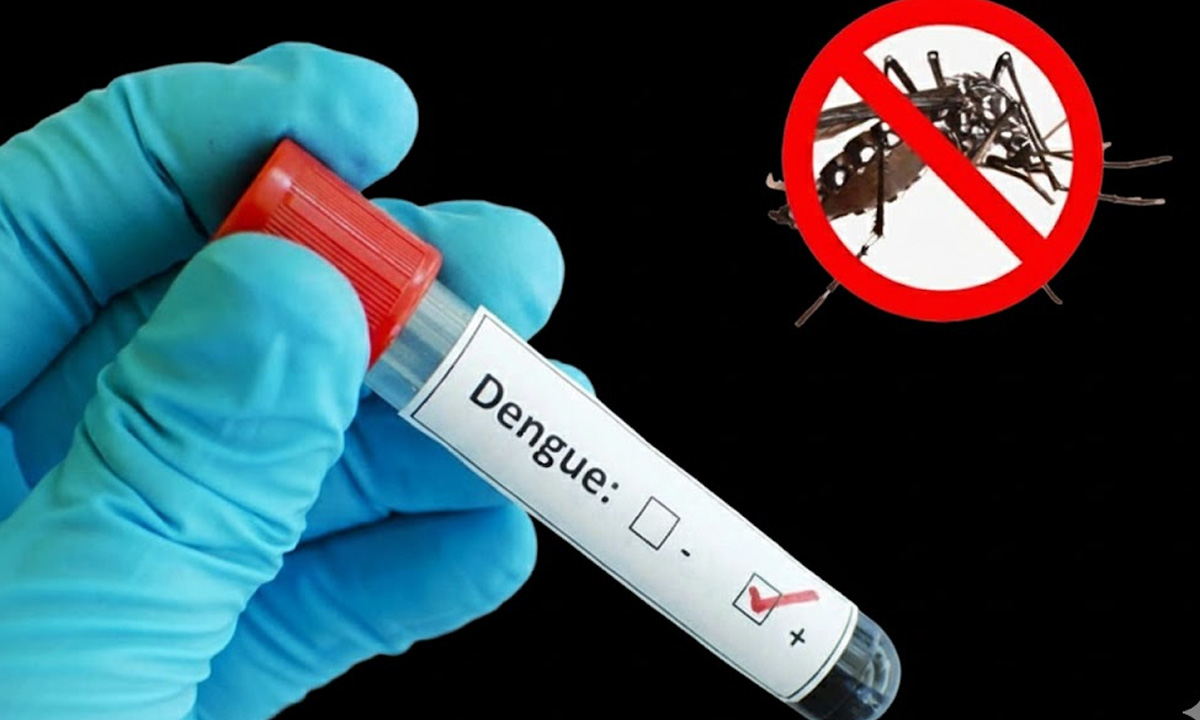 ডেঙ্গুতে এ বছর সর্বোচ্চ মৃত্যু বাংলাদেশে