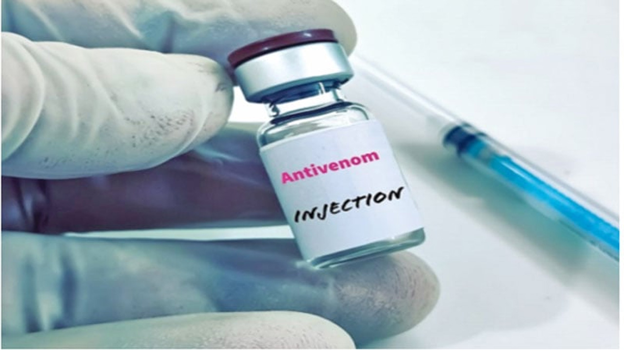 সাপের কামড়ের ওষুধ সব উপজেলায় পাঠানোর নির্দেশ