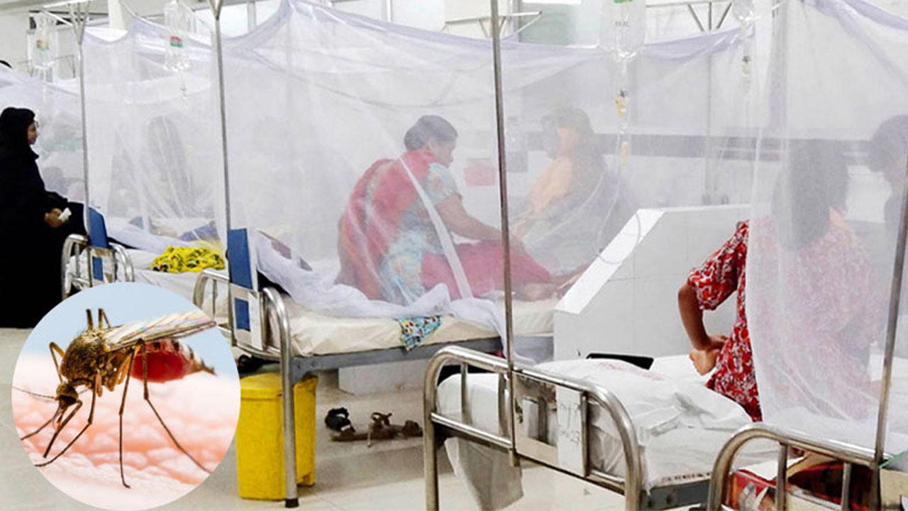 ডেঙ্গুতে ২৪ ঘণ্টায় আরও ৪ জনের মৃত্যু