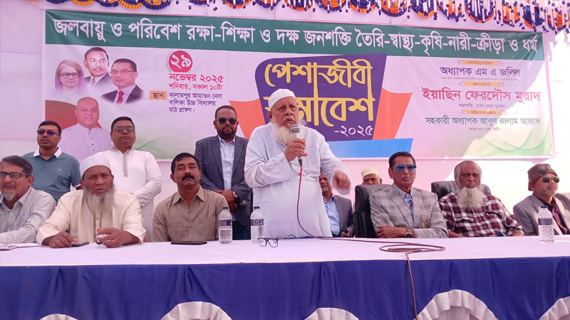 ধামরাইয়ে নির্বাচন ঘিরে বিএনপির পেশাজীবী সমাবেশ 