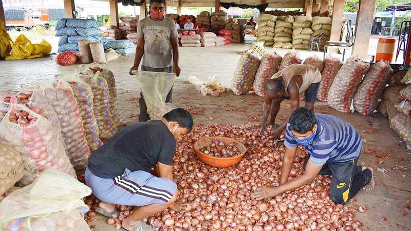 রপ্তানি বন্ধ, সীমান্তে পচছে ৩০ হাজার টন ভারতীয় পেঁয়াজ