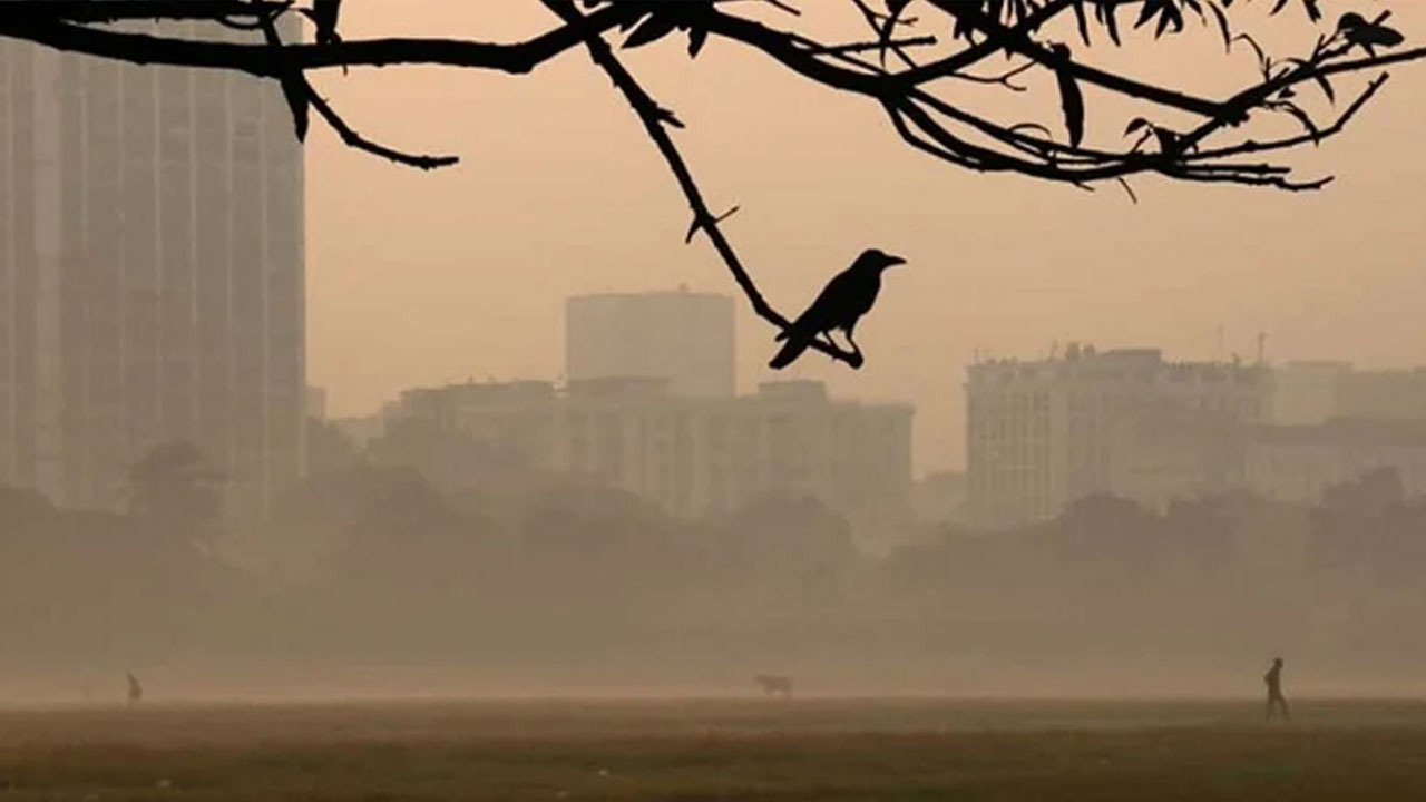 ঢাকায় শীতের আমেজ, তাপমাত্রা নামল ১৭ ডিগ্রিতে