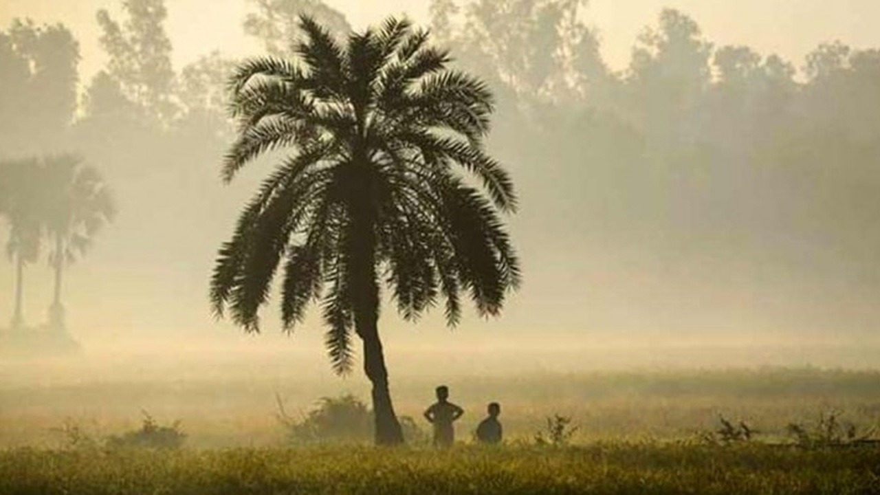 কুড়িগ্রামে তাপমাত্রা  নামল ১২ ডিগ্রিতে